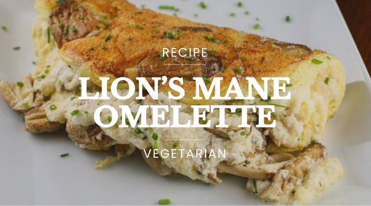 Vegetarian Lion's mane Omelette recipe