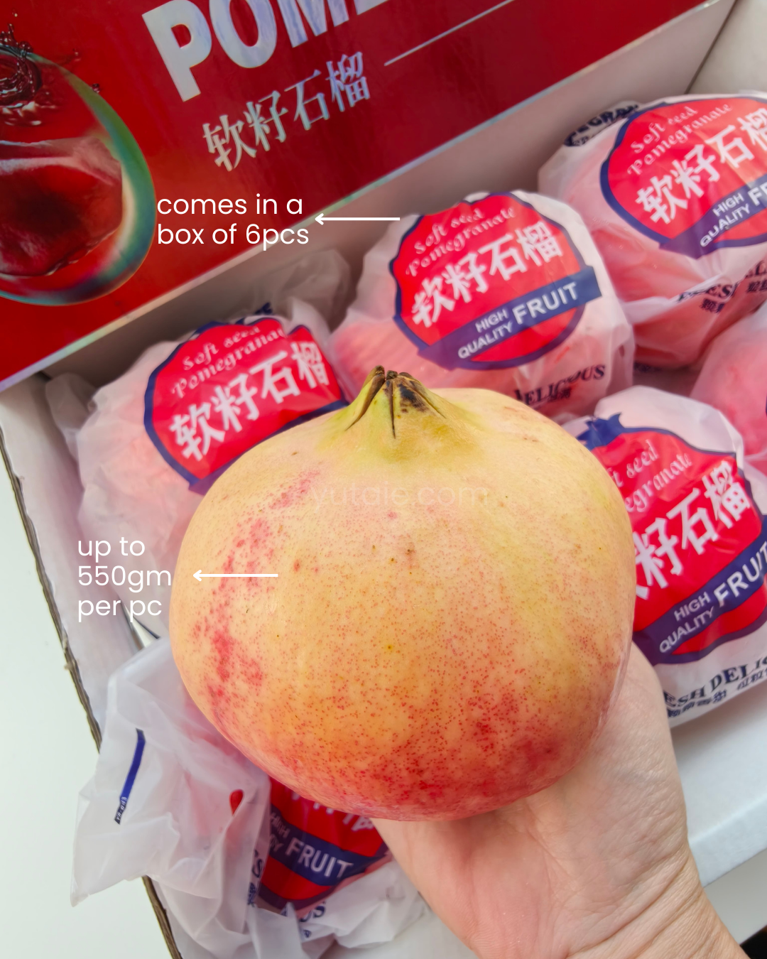 Tunisian soft seeds pomegranate, Yu Taie, comes in a box of 6, each piece is up to 550gm in weight