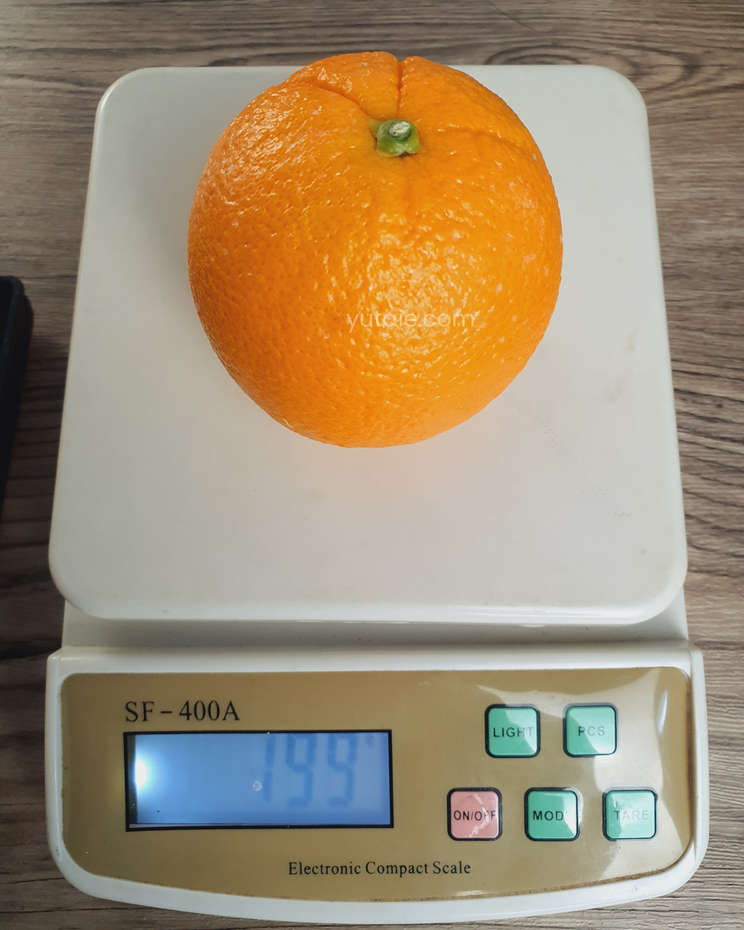 Premium Sweet Navel Orange, U.S.A - Size 88