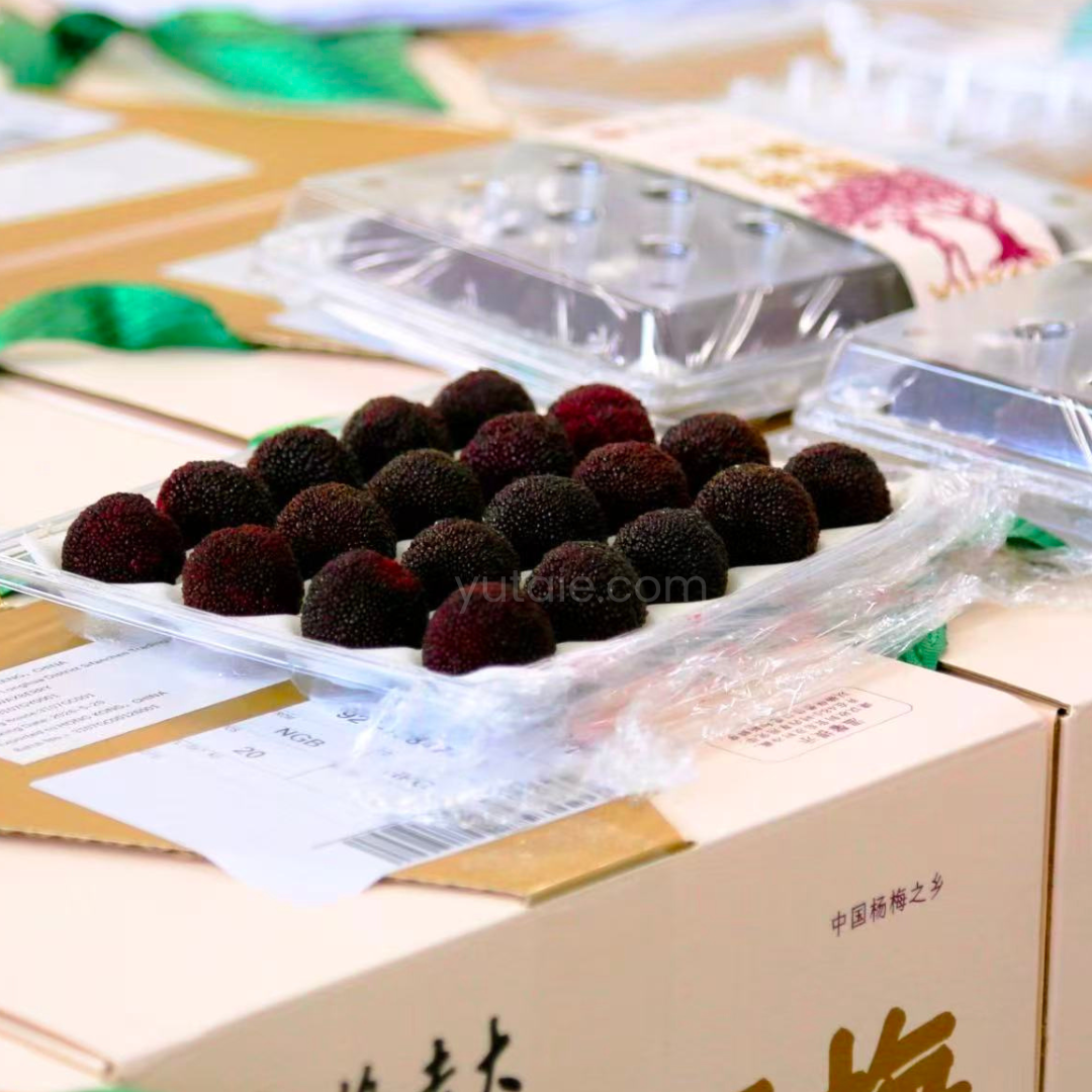 [Gift Box] Airflown Seasonal Premium Waxberries, 600gm x 5 trays