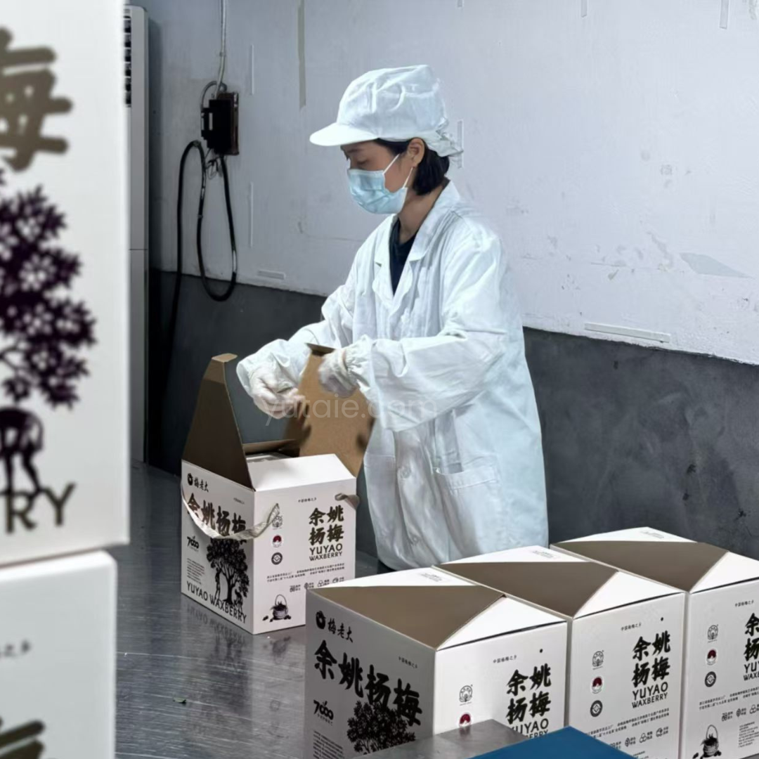 [Gift Box] Airflown Seasonal Premium Waxberries, 600gm x 5 trays