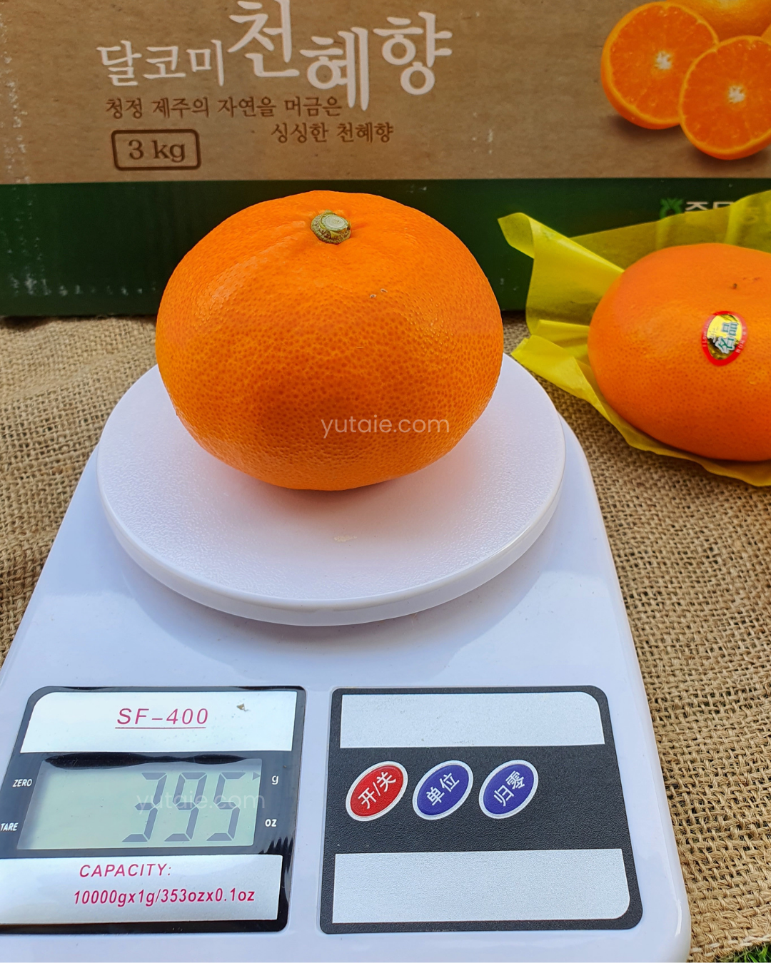 Cheonhyehyang Mandarin Oranges, Jeju Island, S.Korea, 3kg (8 to 10pcs)