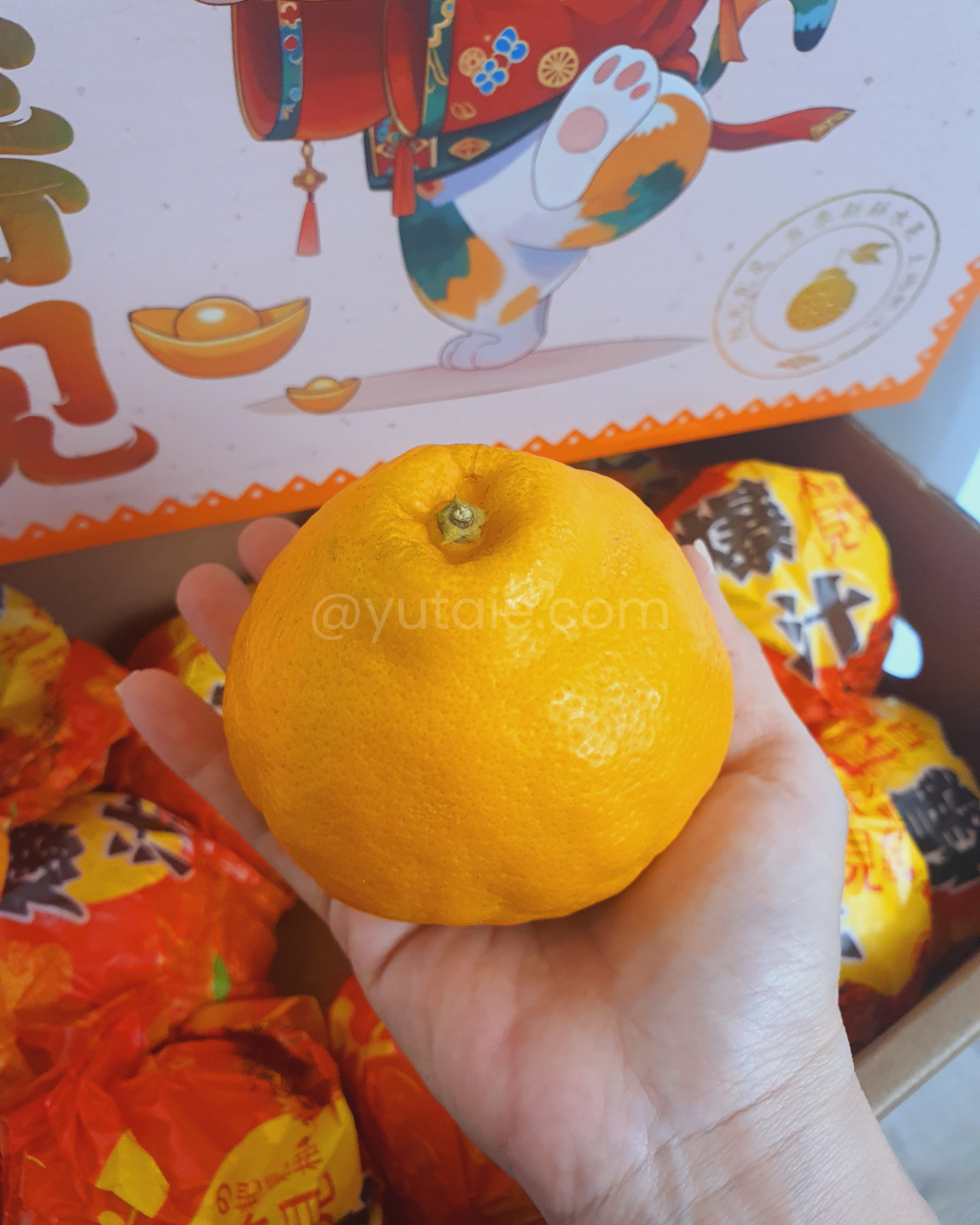 Chun Jian Mandarin Oranges box, China - 3kg