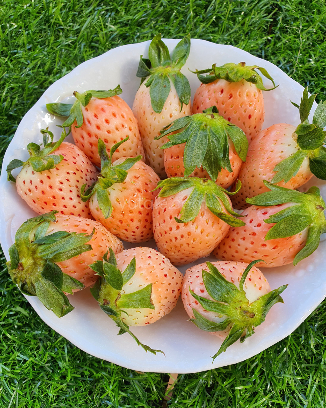 Pinkbell Strawberries, S.Korea, 350gm