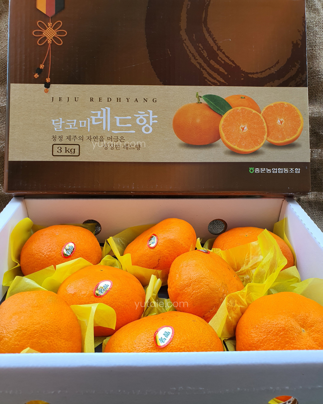 Red Hyang Mandarin Oranges, Jeju Island, S.Korea, 3kg (8 to 10pcs)